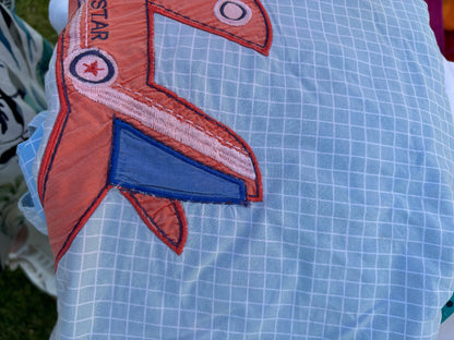 Toy Storage Bean Bag - One of a Kind